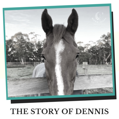 The Reason Colic RX Exists  - The Story of Dennis