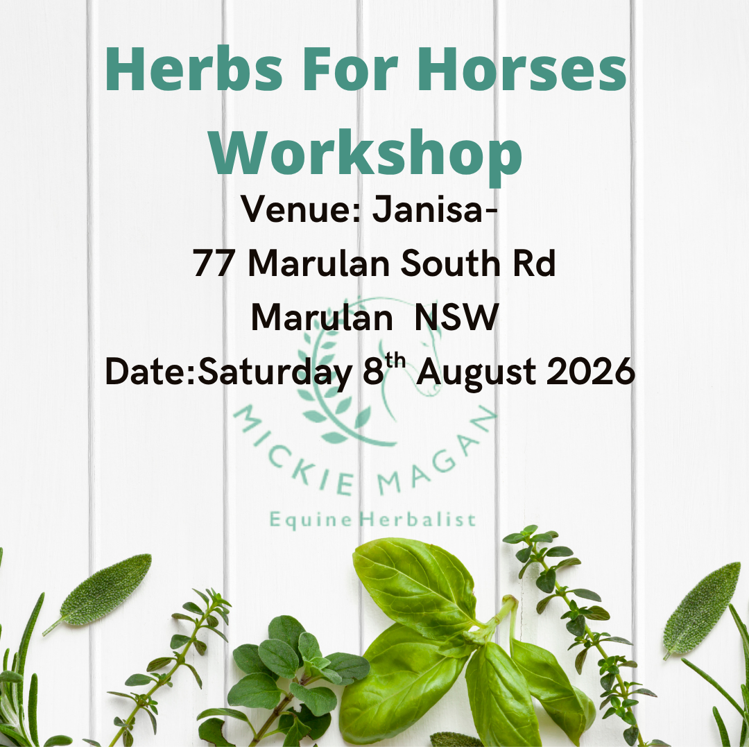 Herbs For Horses Workshop