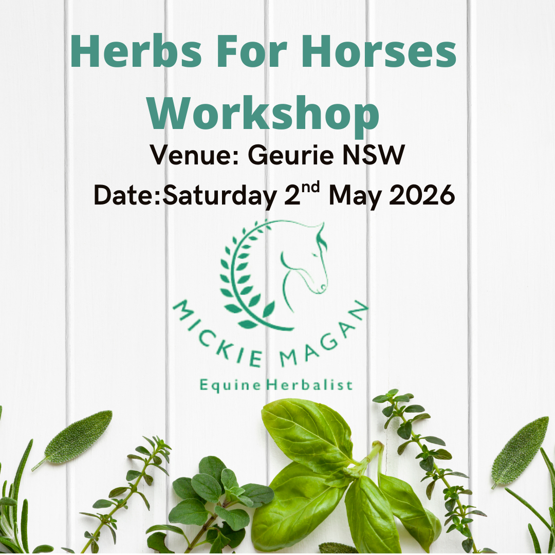 Herbs For Horses Workshop