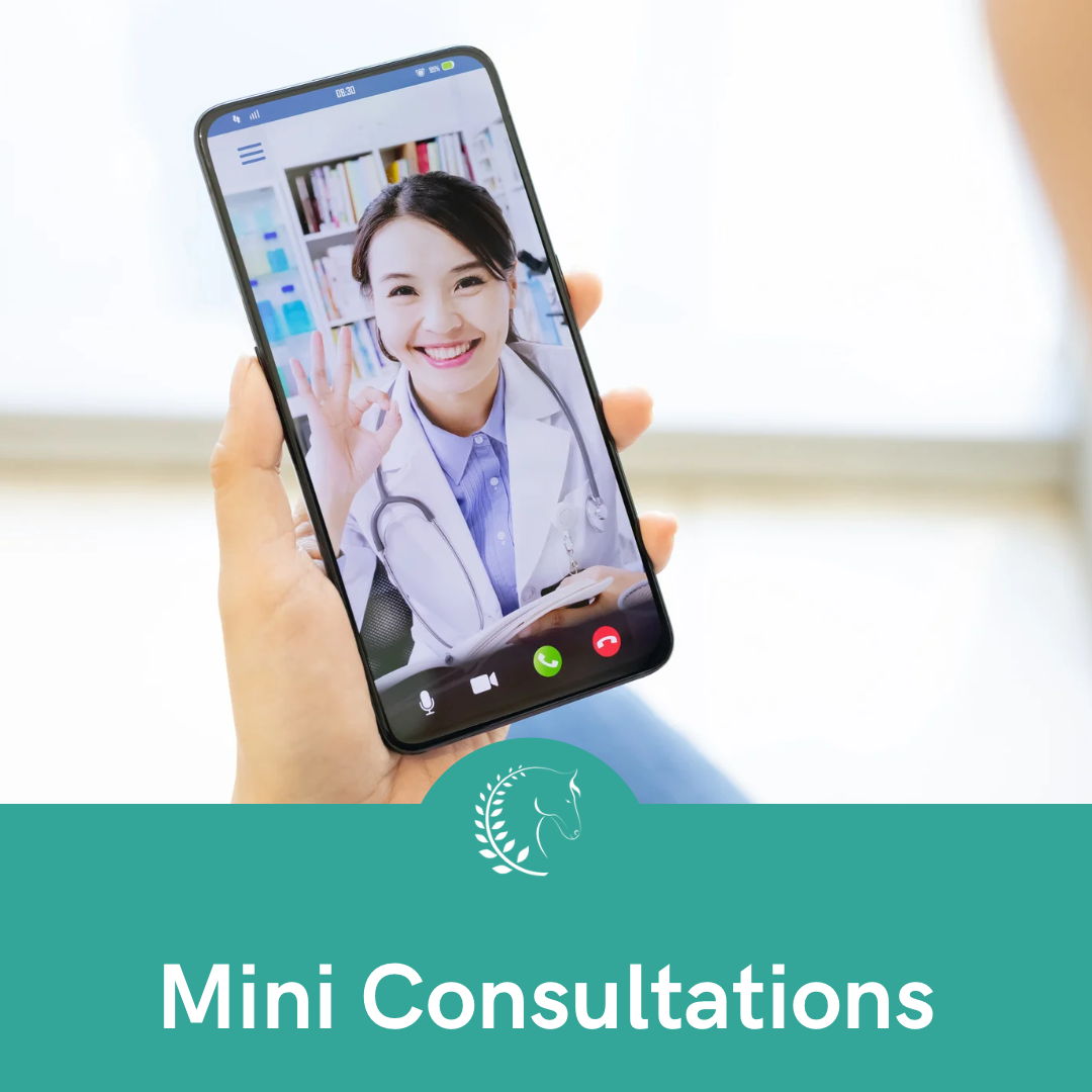 Mini Consultation
