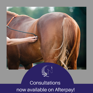 Consultation on Afterpay